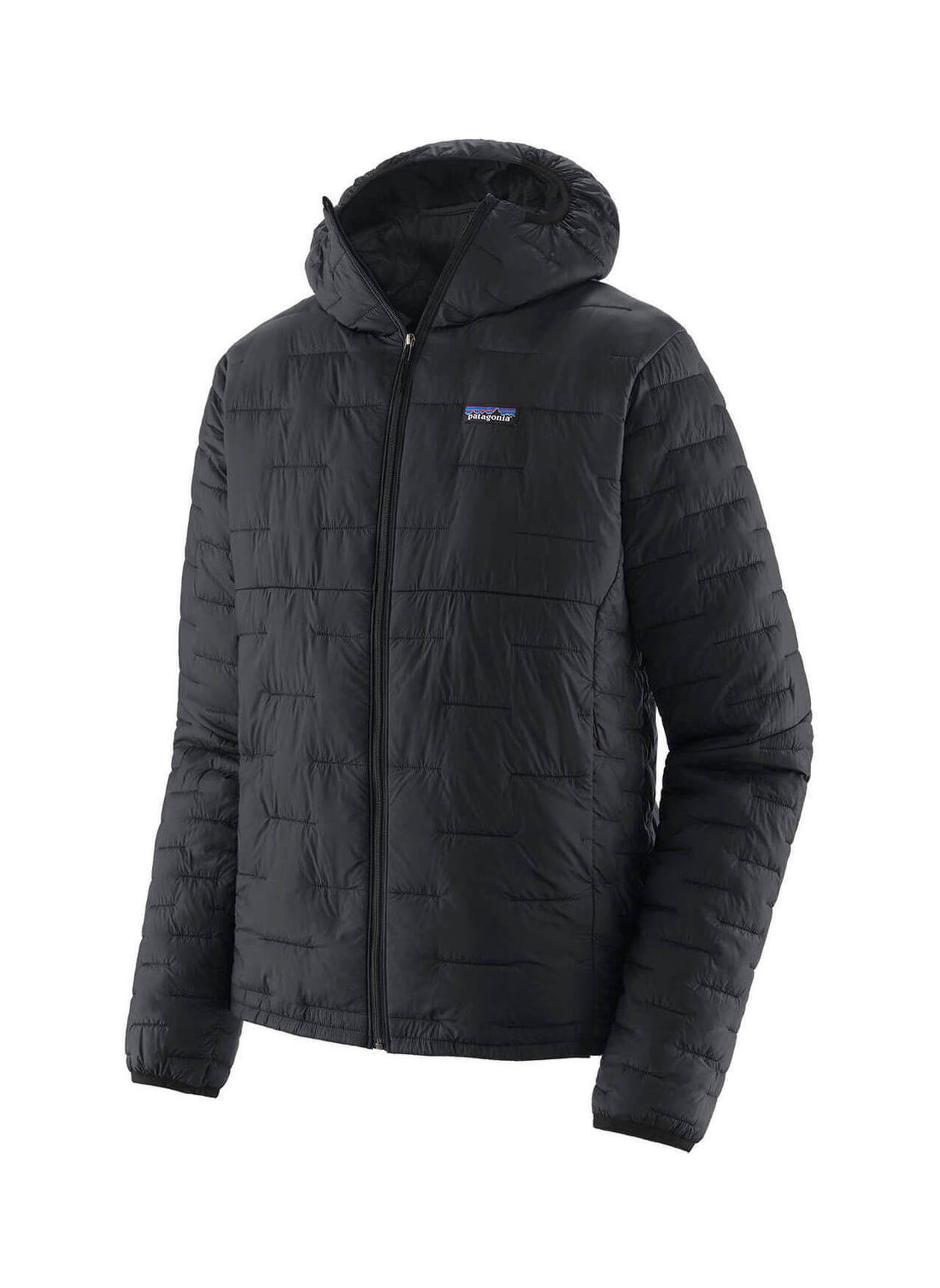 Patagonia Men's Black Micro Puff Hoody