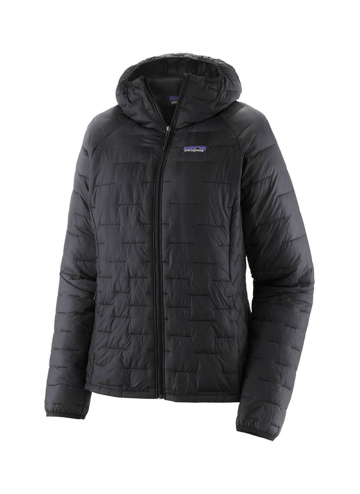 Patagonia Women's Black Micro Puff Hoody